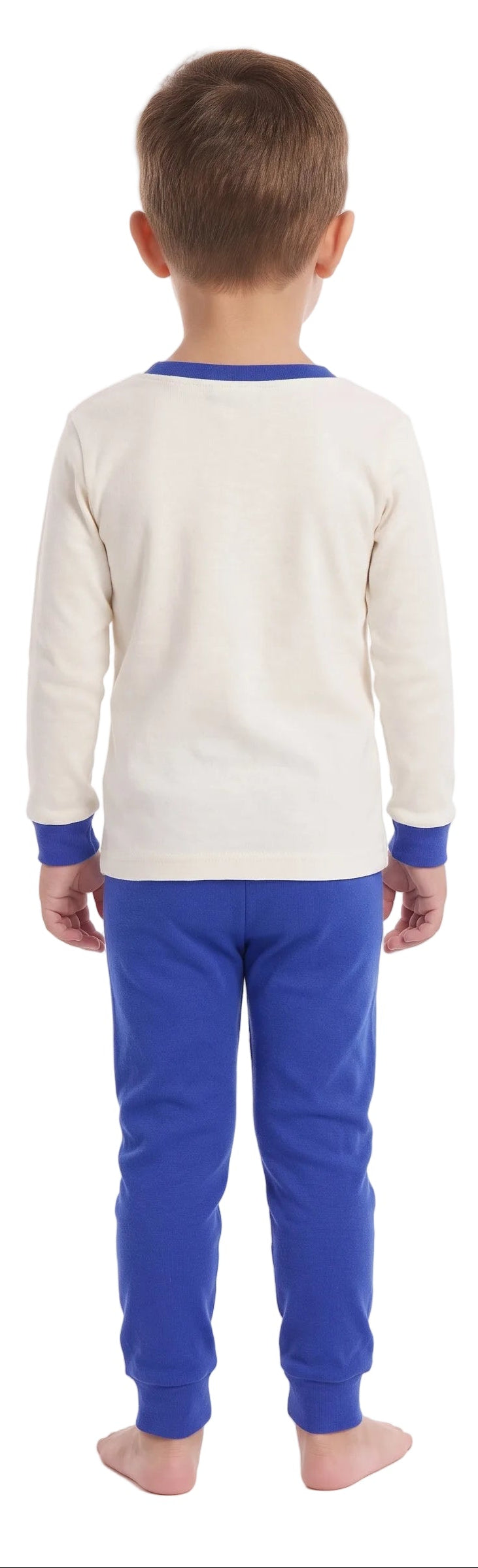 Barney Toddler Unisex 4-Piece Pajama Set with Long Sleeve Tops and Jogger Pants, Cream and Blue and Gray Character Print, Sizes 2T-4T